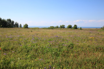 экспедиция в горы хамар-дабана бурятия