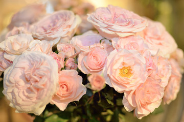 bouquet of pink roses