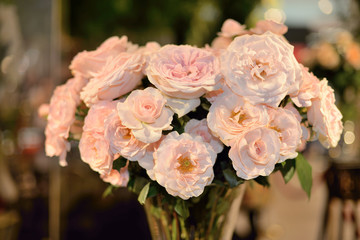 bouquet of pink roses