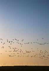 Sunrise at Ringkøbing Intet in Denmark