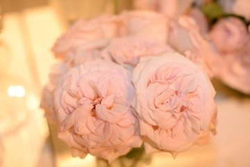 bouquet of pink roses