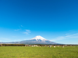 富士山 20190413