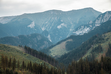 Fototapeta na wymiar National Park High Tatra