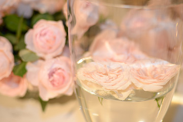 rose in a glass