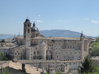 Urbino