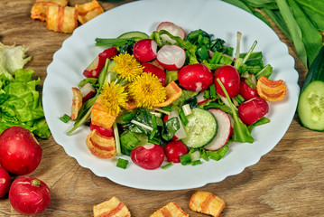 Spring salad with radish , onion and cucumber