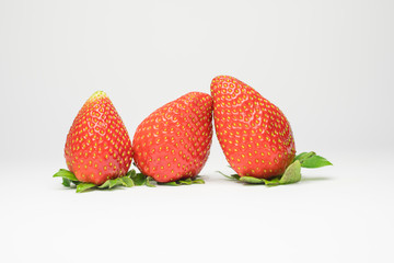 Morangos Frescos e Vermelhos