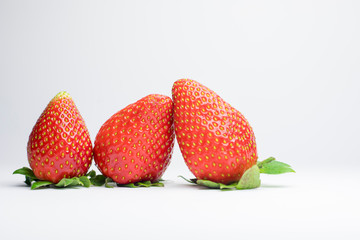 Morangos Frescos e Vermelhos