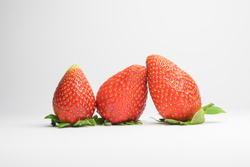 Morangos Frescos e Vermelhos