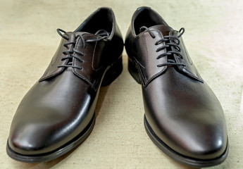 Classic dark brown shoes.
