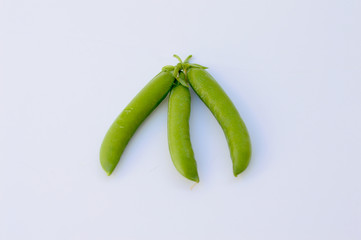 Hortalizas y verduras