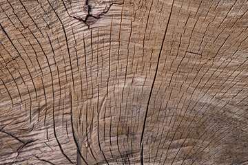 Fototapeta premium Dark wooden texture. Wood brown texture. Background old panels. Retro wooden table. Rustic background. Vintage colored surface.