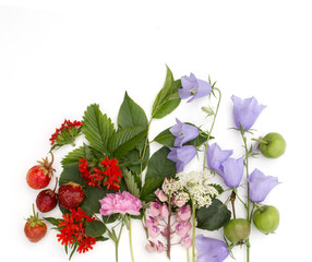 Summer colorful flowers with strawberries in a cup and young apples