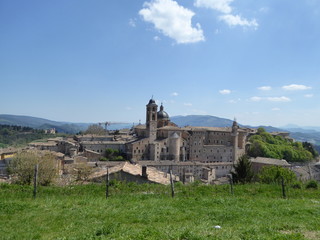 Urbino