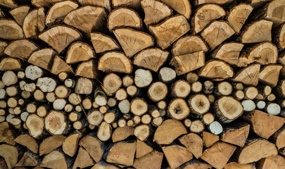 Firewood