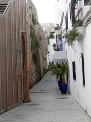 Fototapeta na wymiar Small palm plants in blue pots in quiet Tarifa side street