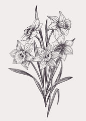 Bouquet with daffodils.