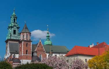 Wawel Royal Castle