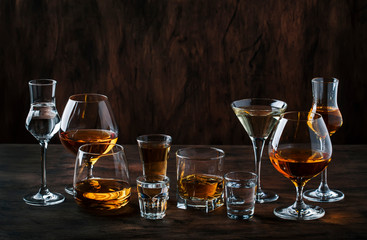 Strong Spirits Set. Hard alcoholic drinks in glasses in assortment: vodka, cognac, tequila, brandy and whiskey, grappa, liqueur, vermouth, tincture, rum. 