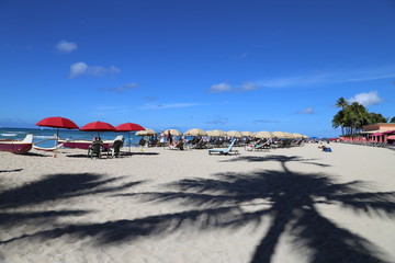 ワイキキビーチ