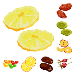 Vector illustration of fruit and dried  sign. Collection of fruit and food  stock symbol for web.