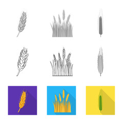 Vector design of agriculture and farming icon. Set of agriculture and plant  vector icon for stock.