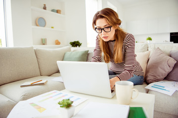 Close up photo beautiful she her lady planner copybook sofa hands arms texting look notebook video lesson wear jeans denim striped pullover clothes sit comfort cosy divan house living room indoors