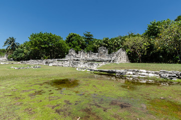 Fototapeta na wymiar Ancient Ruins of El Rey in Cancun, Mexico