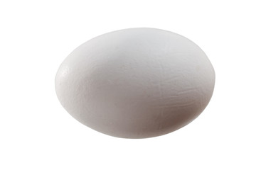 egg on isolated background
