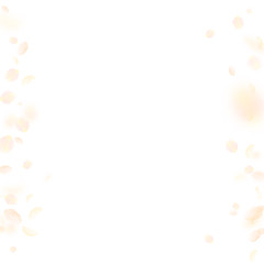 Yellow orange flower petals falling down. Notewort