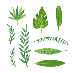 Fototapeta na wymiar Tropical leaves set in doodle style. Vector hand drawn design elements