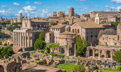 Fototapeta na wymiar Panoramc view in the Roman Forum in a sunny day. Rome, Italy.