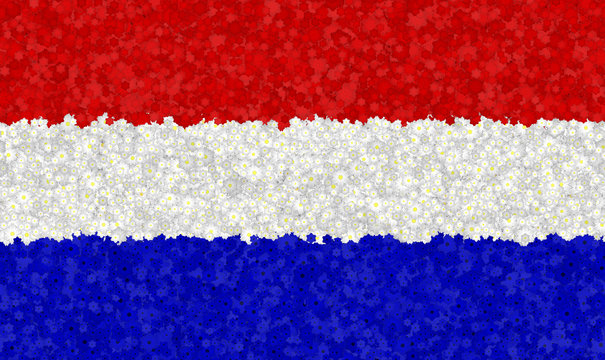 Graphic illustration of a of a Dutch flag with a flower pattern