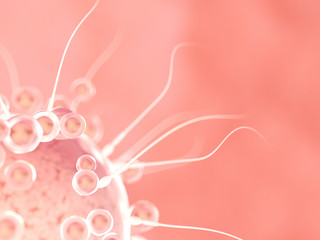3d rendered illustration of sperms and a human egg cell