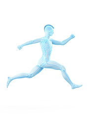 3d rendered medically accurate illustration of a man running