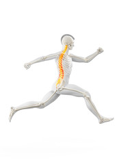3d rendered medically accurate illustration of a runners painful back