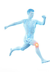 Fototapeta na wymiar 3d rendered medically accurate illustration of a runners painful kee