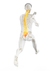 3d rendered medically accurate illustration of a runners painful back