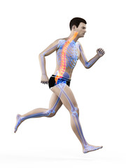 3d rendered medically accurate illustration of a runners painful back