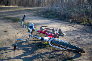 bicycle lies on a country road
