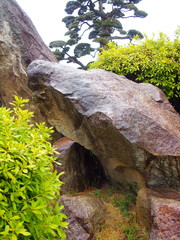 庭園の雨に濡れる庭石