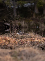 Schweden Nature Experience