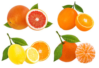 Fresh citrus collage isolated on white background  with clipping path