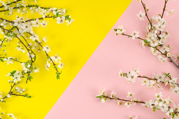 Flat lay summer is coming pink and yellow pop background with blossom branches. Copy space for banner