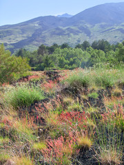 around Mount Etna