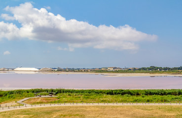 Saline in the Camargue