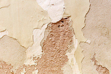 The beige, painted wall background