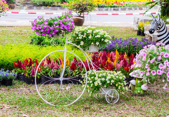 Fototapeta na wymiar Vintage white bike and flower pot decoration in cozy home flowers garden on summer. 