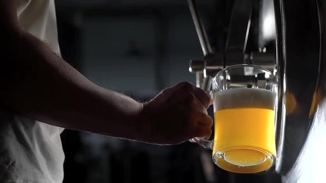 Below shot of a brewery worker pouring freshly-crafted beed in a glass to test the quality.