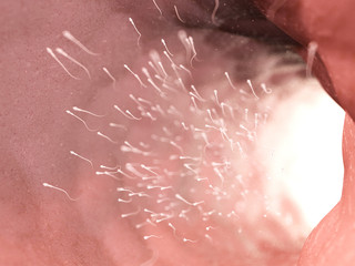 3d rendered illustration of a swarm of human sperm